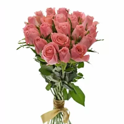 Kytice 21 růžových růží ACE PINK 50cm