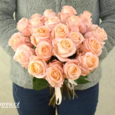 Kytice 21 růžových růží ADELAIDE 40cm