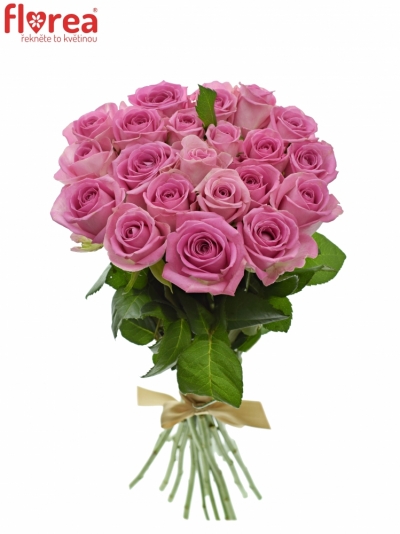 Kytice 21 růžových růží AQUA 40cm