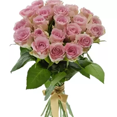 Kytice 21 růžových růží BISOU 40cm 