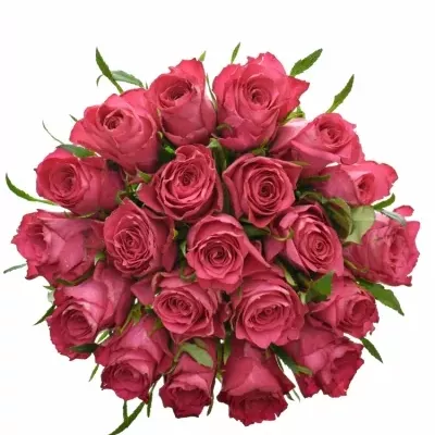 Kytice 21 růžových růží CANDIDATE! 90cm