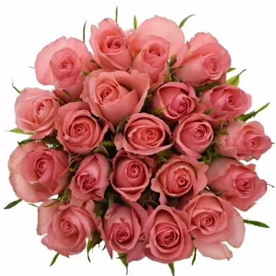 Kytice 21 růžových růží DEKORA 50cm