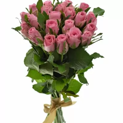 Kytice 21 růžových růží ELIZA 50cm
