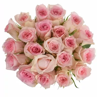 Kytice 21 růžových růží FLAMINGO 50cm