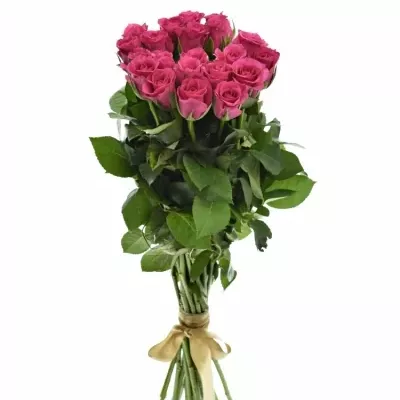 Kytice 21 růžových růží FRISBEE 40cm