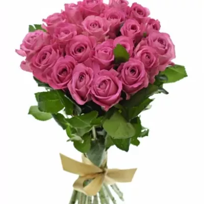 Kytice 21 růžových růží H3O 40cm