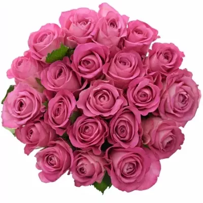 Kytice 21 růžových růží H3O 50cm