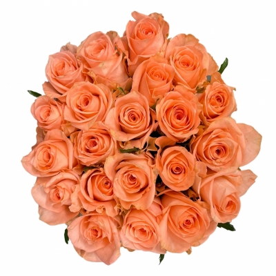 Kytice 21 růžových růží KISS 2U 40 cm