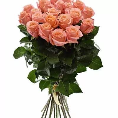 Kytice 21 růžových růží LADY MARGERAT 50cm