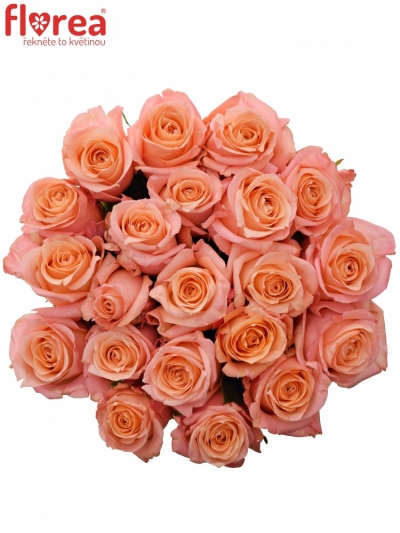 Kytice 21 růžových růží LADY MARGARET 70cm