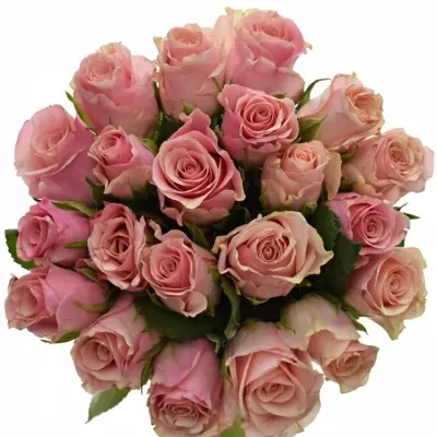 Kytice 21 růžových růží LIGHT PINK TACAZZI+ 50cm
