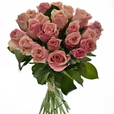 Kytice 21 růžových růží LIGHT PINK TACAZZI+ 40cm