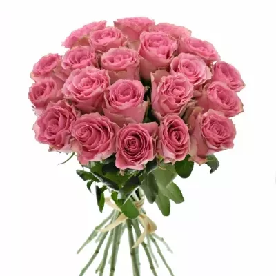 Kytice 21 růžových růží LOVELY RHODOS