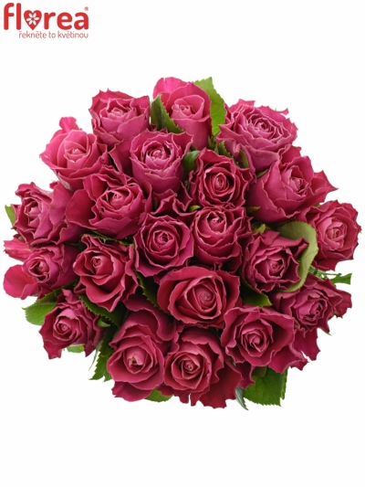 Kytice 21 růžových růží MOVIE STAR 50cm