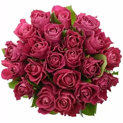 Kytice 21 růžových růží MOVIE STAR 50cm