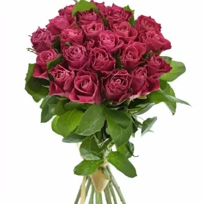 Kytice 21 růžových růží MOVIE STAR 40cm