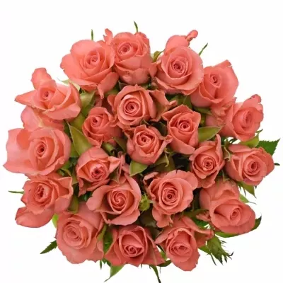 Kytice 21 růžových růží NANCY 50cm