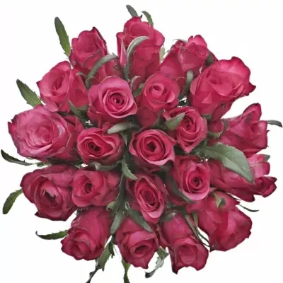 Kytice 21 růžových růží NATURES WILD 55cm