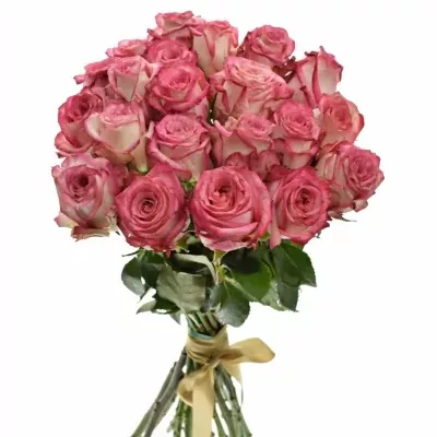 Kytice 21 růžových růží NAVARRA 40cm