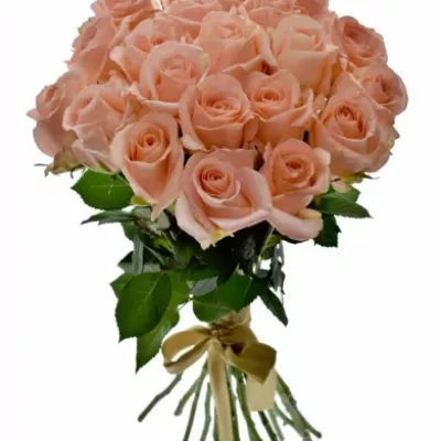 Kytice 21 růžových růží PINK PANASH 60cm
