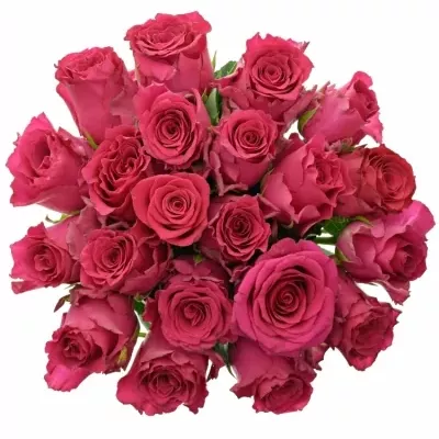 Kytice 21 růžových růží Pink Rhodos 40cm