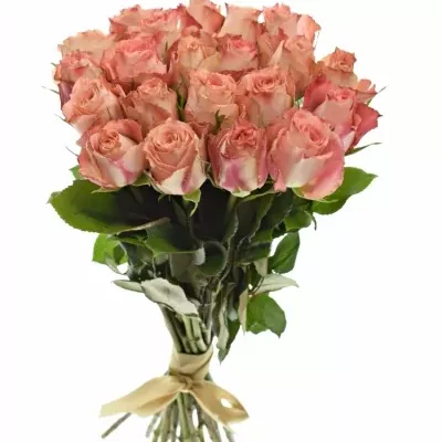 Kytice 21 růžových růží PINK SILK 40cm