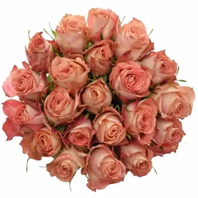 Kytice 21 růžových růží PINK SILK 40cm