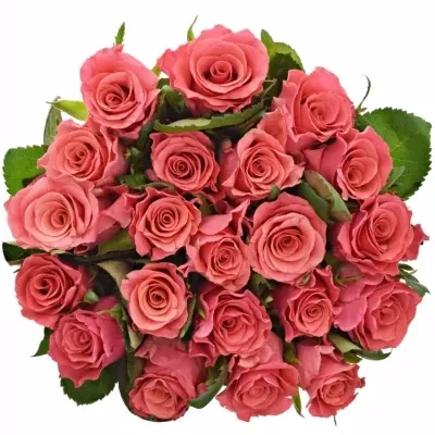 Kytice 21 růžových růží PINK TACAZZI