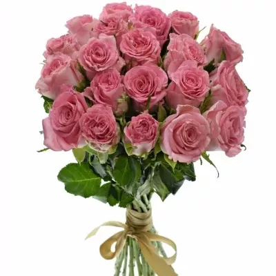 Kytice 21 růžových růží SEDUCTIVE@ 50 cm