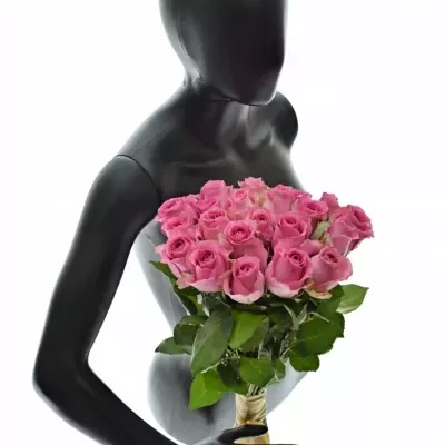 Kytice 21 růžových růží SHANGHAI LADY 40cm 