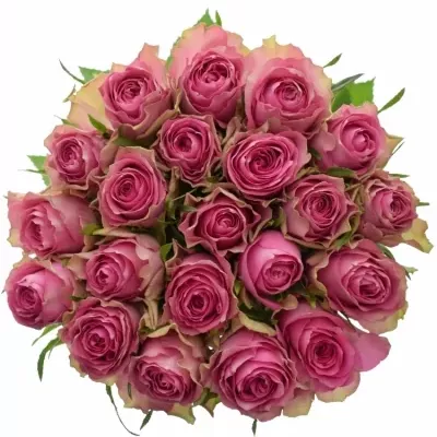 Jednodruhová kytice 21 růžových růží SHIARY 60 cm