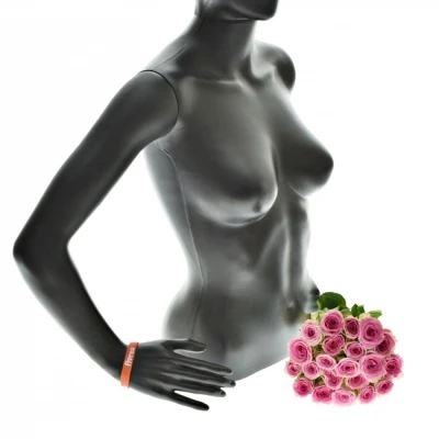 Kytice 21 růžových růží TIMES SQUARE 70cm