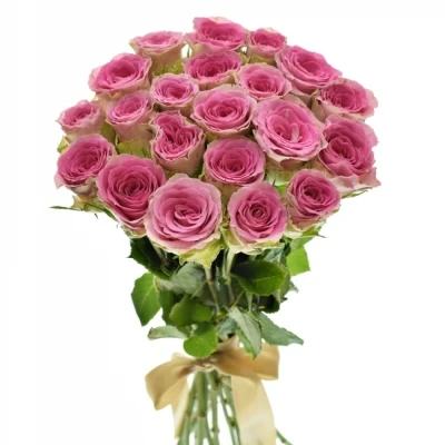 Kytice 21 růžových růží TIMES SQUARE 70cm