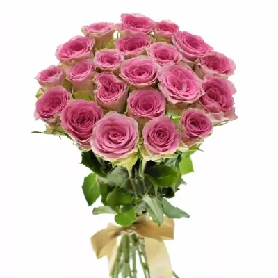 Kytice 21 růžových růží TIMES SQUARE 70cm