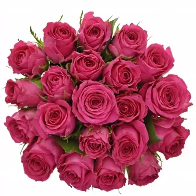 Kytice 21 růžových růží WINK 40 cm