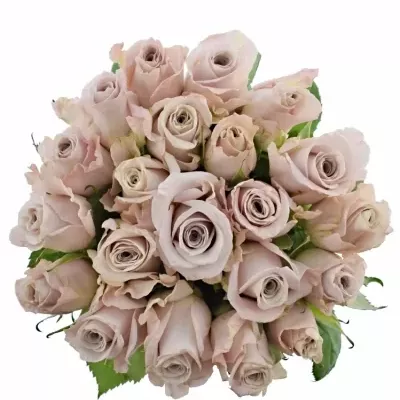 Jednodruhová kytice 21 růžových růží MENTA 60 cm