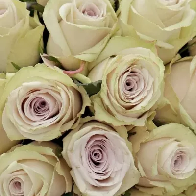 Kytice 21 světle fialových růží SILVERY FLAME 35cm