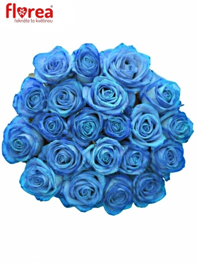 Kytice 21 světle modrých růží LIGHT BLUE VENDELA 70cm
