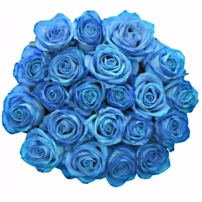 Jednodruhová kytice 21 modrých růží LIGHT BLUE VENDELA 70 cm