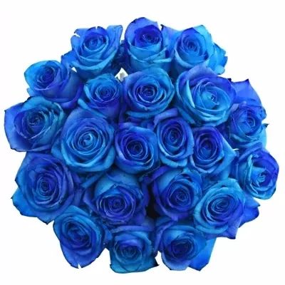 Kytice 21 tyrkysově modrých růží OCEAN BLUE VENDELA 100cm