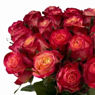 Kytice 21 vícebarevných růží MAI TAI