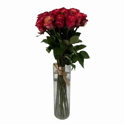 Kytice 21 vícebarevných růží MAI TAI