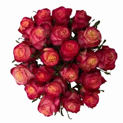 Kytice 21 vícebarevných růží MAI TAI