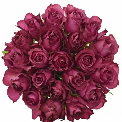 Kytice 21 vínových růží BLUEBERRY 55cm