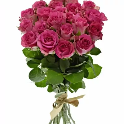 Kytice 21 vínových růží MARINA 40cm