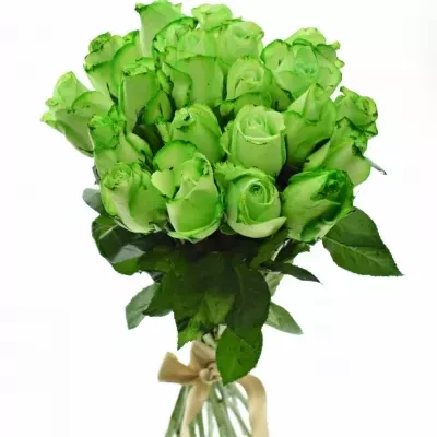 Kytica 21 zelených ruží GREEN snowstorm + 40cm