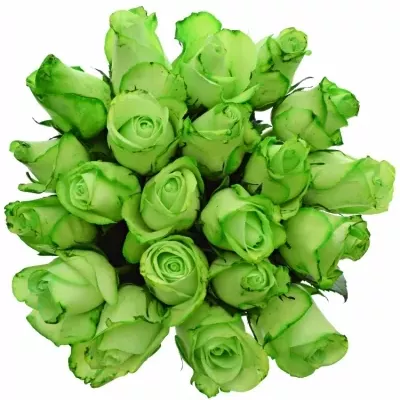 Kytica 21 zelených ruží GREEN snowstorm + 50cm