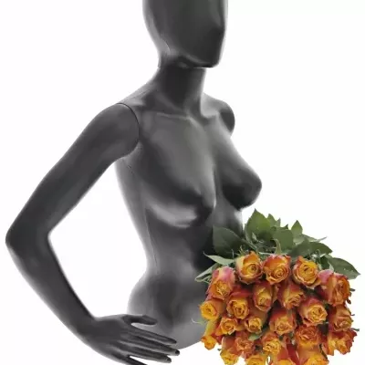 Kytice 21 žíhaných růží DOWNTOWN!