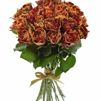 Kytice 21 žíhaných růží FIRE CRACKER 50cm