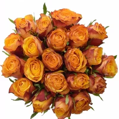 Kytice 21 žíhaných růží GRANADA 40cm